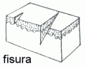 fisura